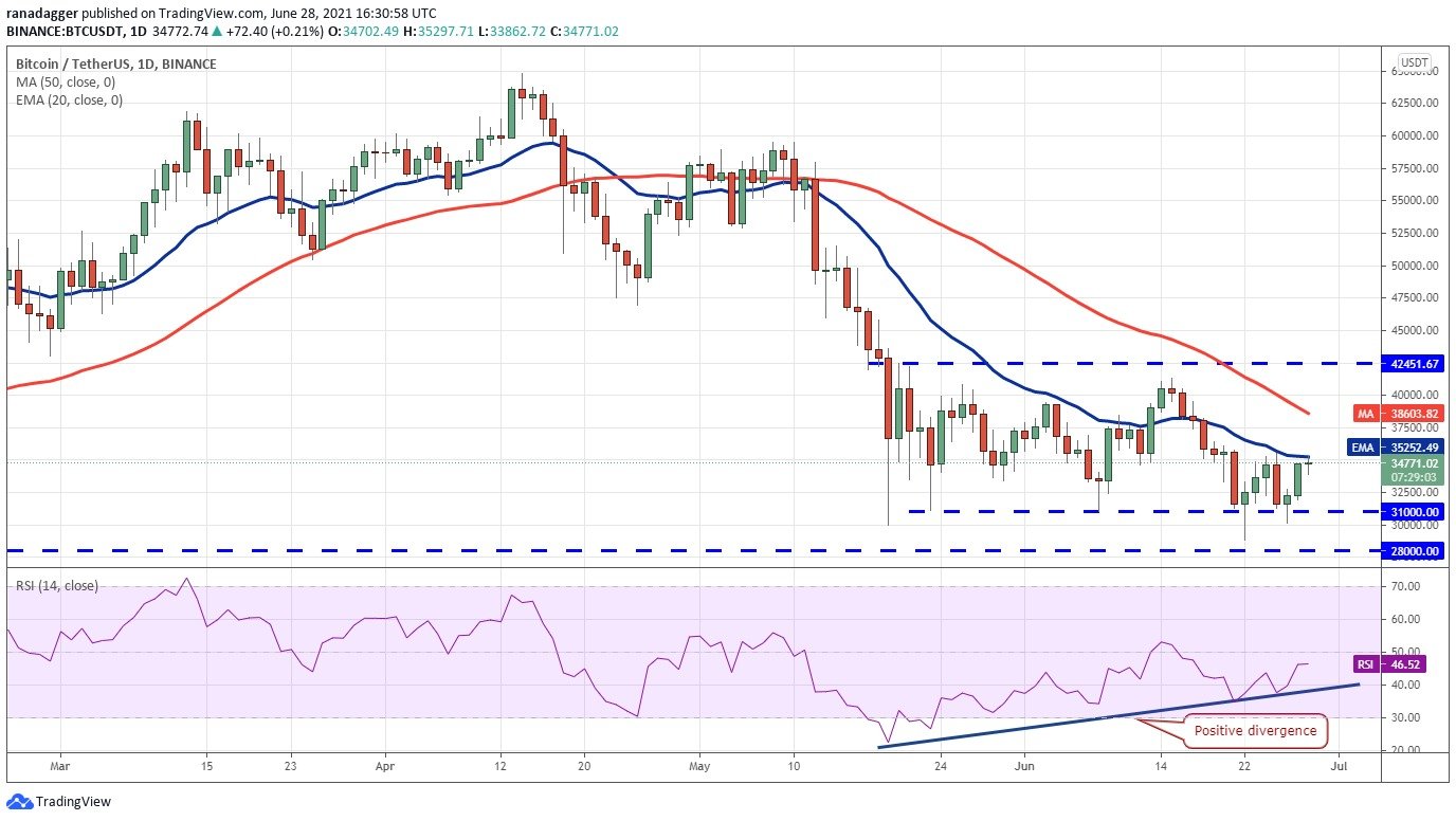 Análise de preço: BTC, ETH, BNB, ADA, DOGE, XRP, DOT, UNI, BCH, LTC