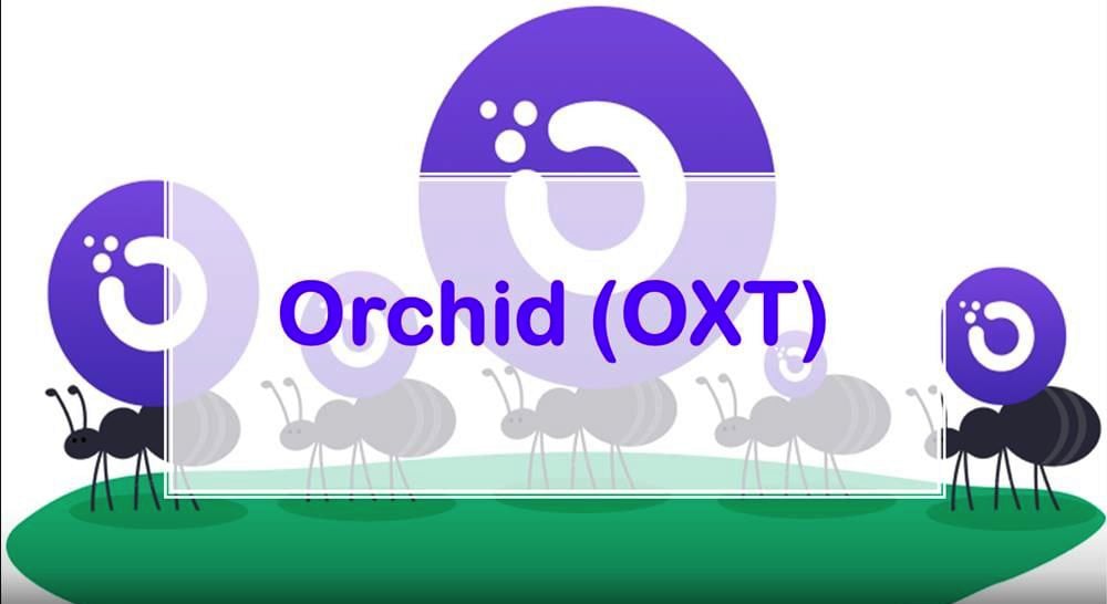 Previsão de preço Orchid Protocol (OXT) 2021-2025: a moeda vai subir?