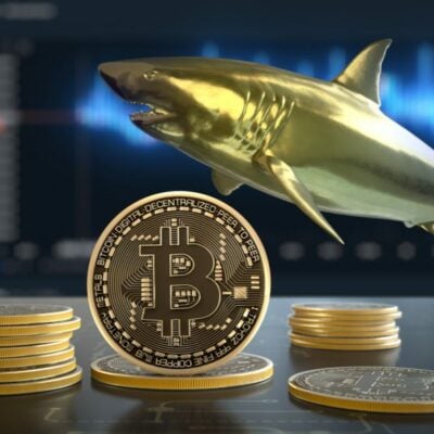 Bitcoin podría superar los $ 50K debido a los picos de acumulación derivados de las ballenas.