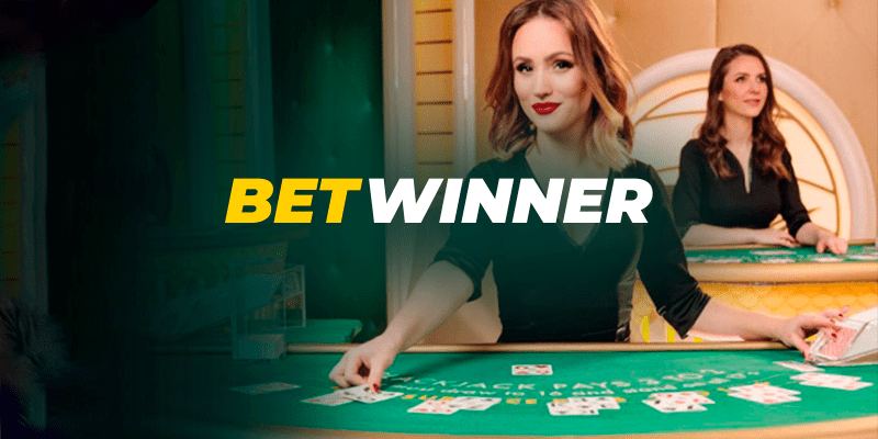 5 Things People Hate About BetWinner casino
