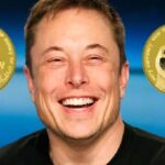 Elon Musk afirmou que Dogecoin será usado na Tesla