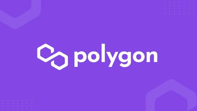 Polygon soma nova startup a seu grupo após compra recente da Hermez Network