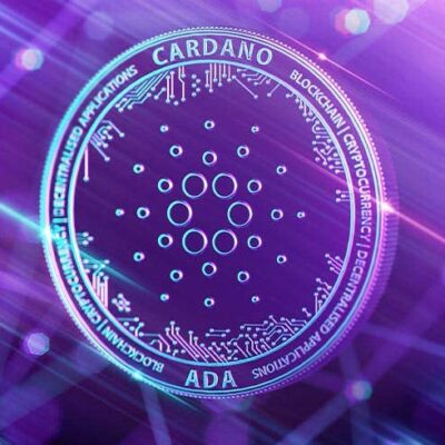 کارڈانو اپنی صلاحیت کا 90% سے زیادہ استعمال کر رہا ہے اور اپنے بلاک چین کو مزید وسعت دینے کا رجحان رکھتا ہے۔