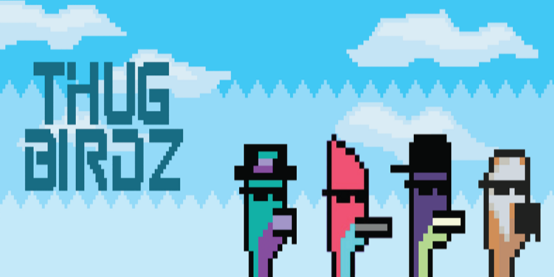 O que é Thugbirdz – Coleção NFT de pássaros pixelados, Solanart e marketplace?