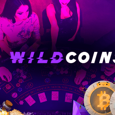 Wildcoins 在线赌场评论：玩起来可靠且安全吗？