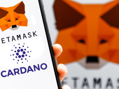 将 ADA Cardano 连接到币安智能链网络上的 MetaMask