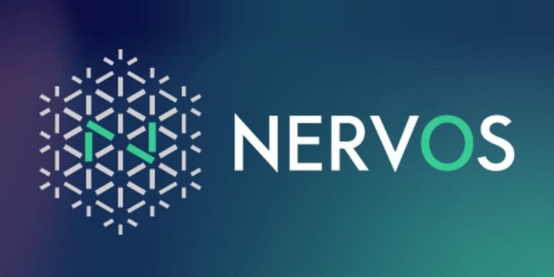 O que é Nervos Network Coin (CKB) Token, o projeto vale a pena?