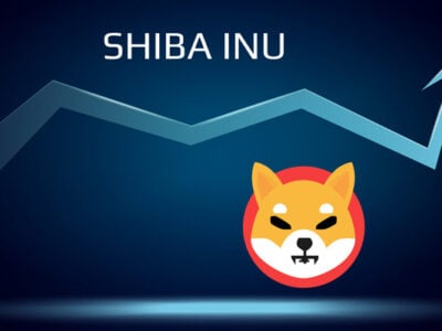 Shiba inu crypto price prediction, a criptomoeda ainda vale a pena investir?