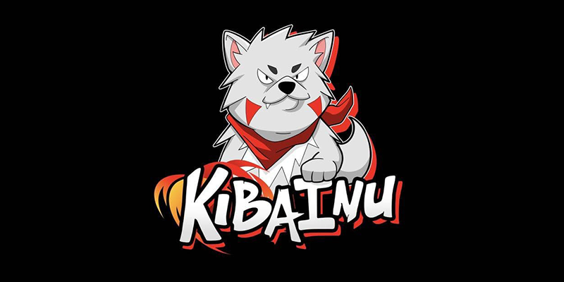 O que é Kiba Inu coin (KIBA) token, Meme, Kiba Fomo, KibaCharts e KibaSwap?