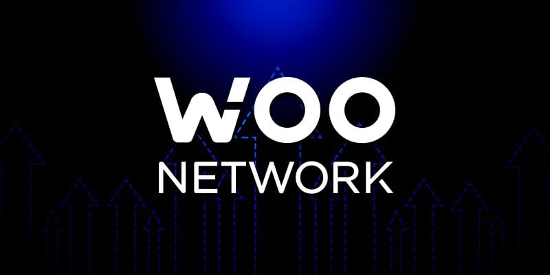 O que é WOO Network Coin (WOO) Token: Projeto Woofi Staking, Binance?
