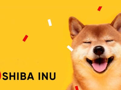 Shiba Inu BONE: recompensas ShibaSwap deve ser interrompida em breve