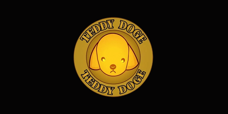 O que é Teddy Doge coin (TEDDY) token, memecoin, DRAC Network e Teddyswap?