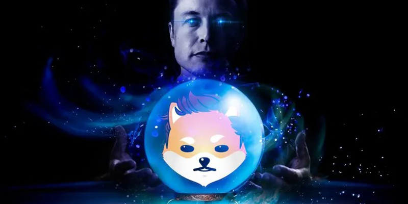 O que é Dogelon Mars Coin (ELON) Token, Binance pode listar o projeto?