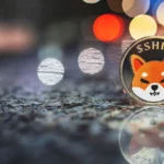 Shiba Inu whales increase trading volume by 266%