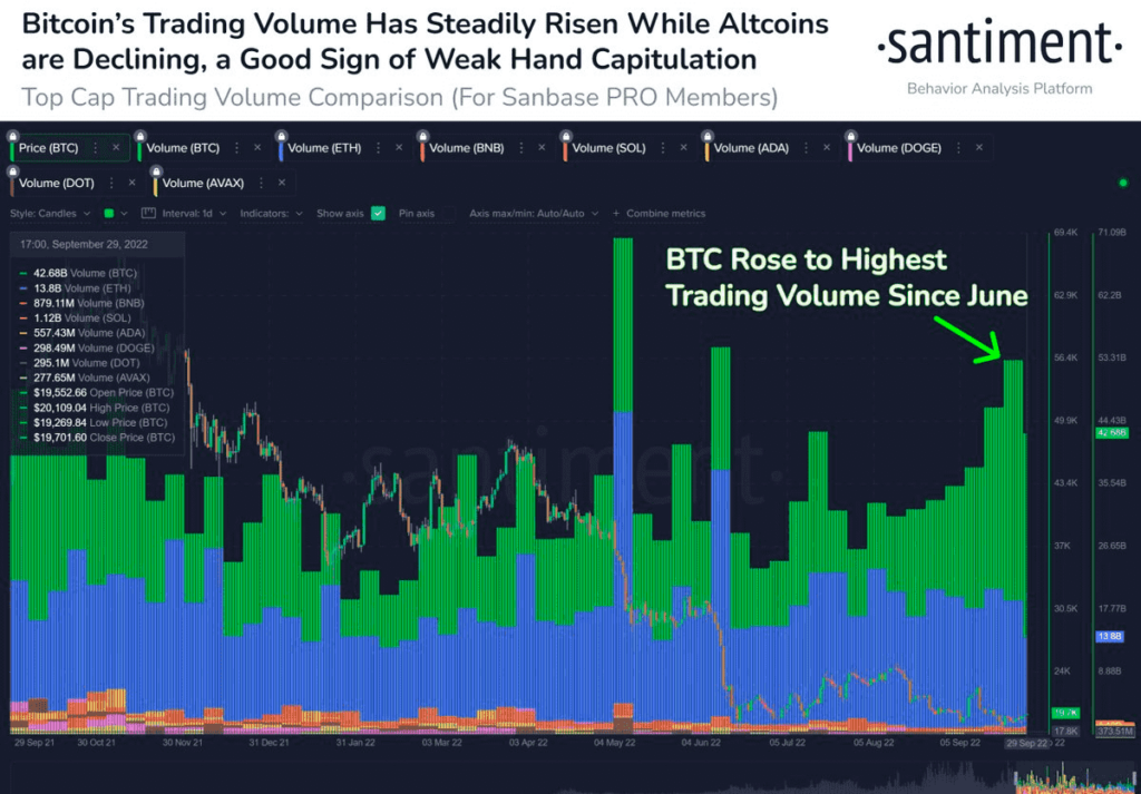 Negociação de Bitcoin aumenta com investidores abandonando moedas fiat