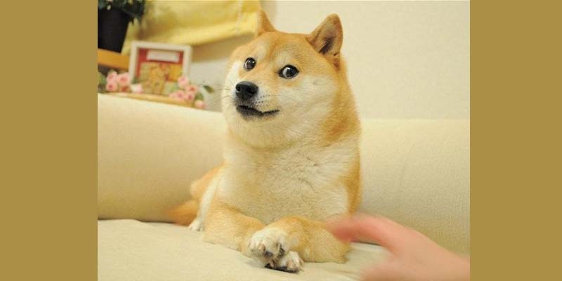 NFT Meme Doge - Shiba Inu