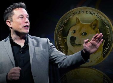 DOGE Elon Musk