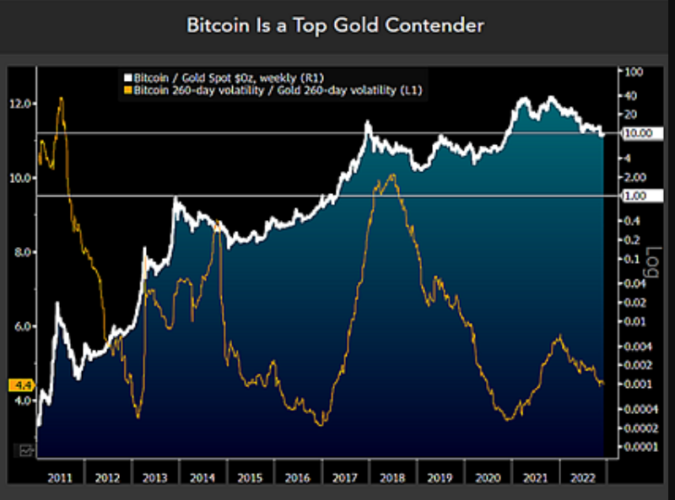 Bitcoin deve superar o ouro no futuro