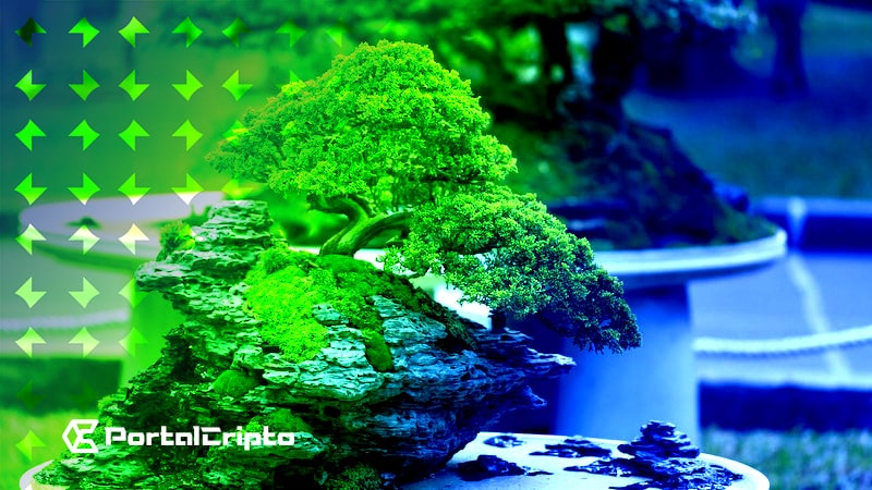 Lens Protocol apresenta o projeto Bonsai, solução blockchain para redes sociais