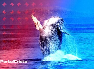 Shiba Inu-walvis koopt meer dan 311 miljard SHIB-tokens