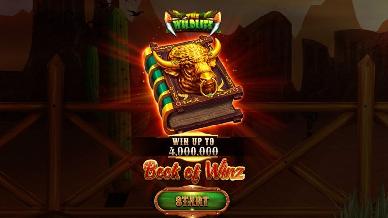 Recurso especial do caça-níqueis online Book of Winz