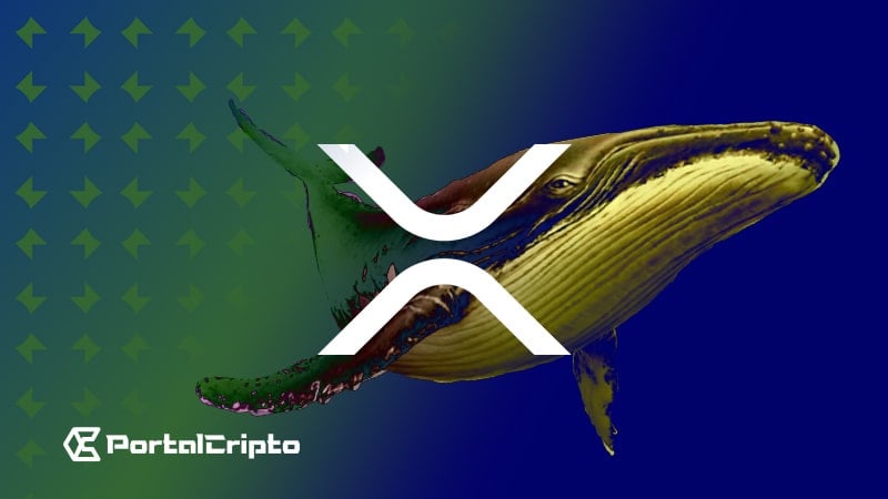Baleias de Criptomoedas Aumentam Investimentos no XRP em Meio a Quedas de Preço