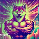 Will Shiba Inu Cryptocurrency Rise to $0,001 with Shibarium? Data Reveals Impressive Increase