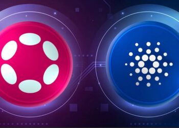 O que é Polkadot? Um guia para iniciantes no ecossistema Web3