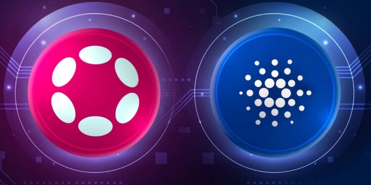 O que é Polkadot? Um guia para iniciantes no ecossistema Web3
