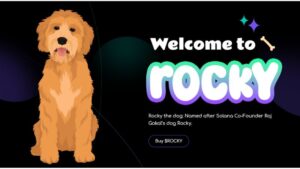 como funciona rocky crypto