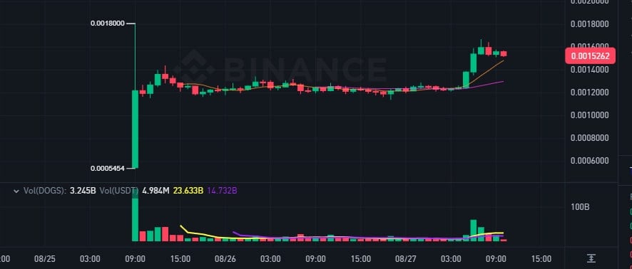 Criptomoeda meme DOGS na Binance: Trader se Destaca com Lucros de 420% Antes da Listagem