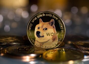 O Dogecoin teve uma pré-mineração