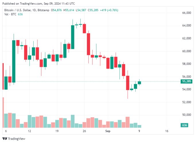 Bitcoin Hoje 09/09/2024: BTC inicia semana em alta e é negociado acima de US$ 55 mil