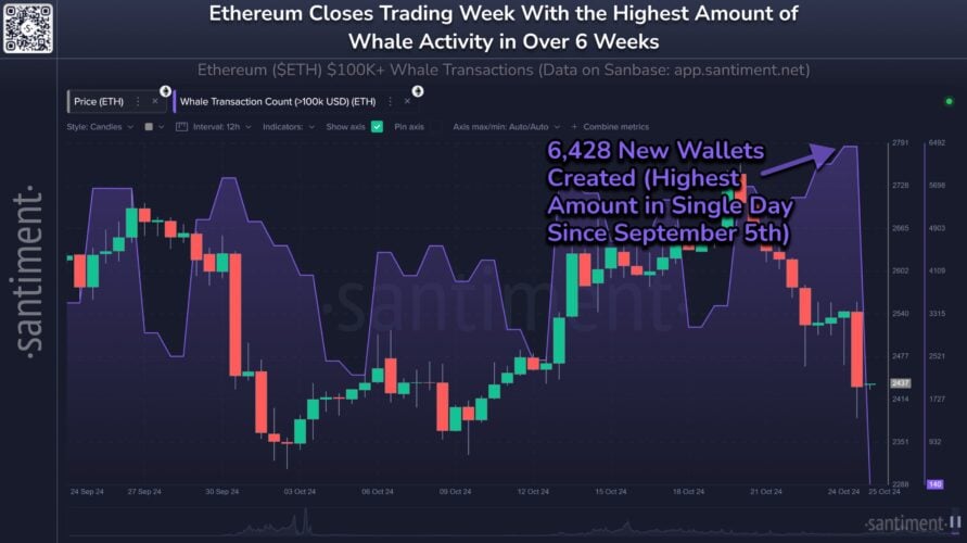 Ethereum dá sinais de alta no curto prazo enquanto atividade de baleias atinge pico