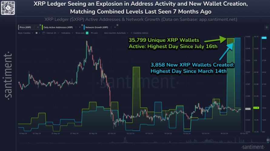 US$ 1 bilhão adicionados ao XRP após menção de Elon Musk; Número de carteiras atinge pico