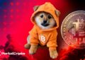 Criptomoeda DOG•GO•TO•THE•MOON Mostra Forte Potencial de Alta e Pode Surpreender