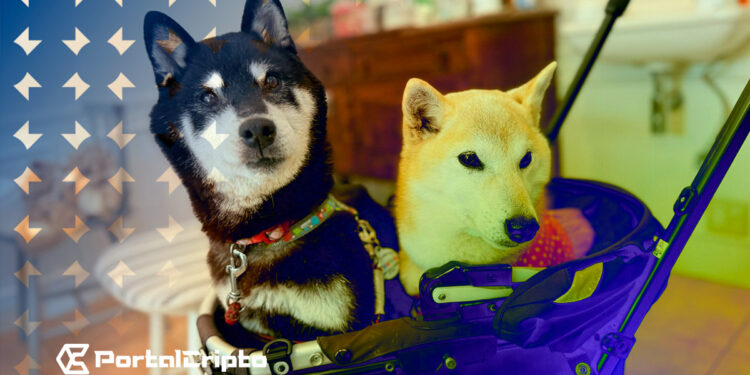 Novo Membro da Família Doge: $COCORO Alcança Mais de US$ 100 Milhões em FDV
