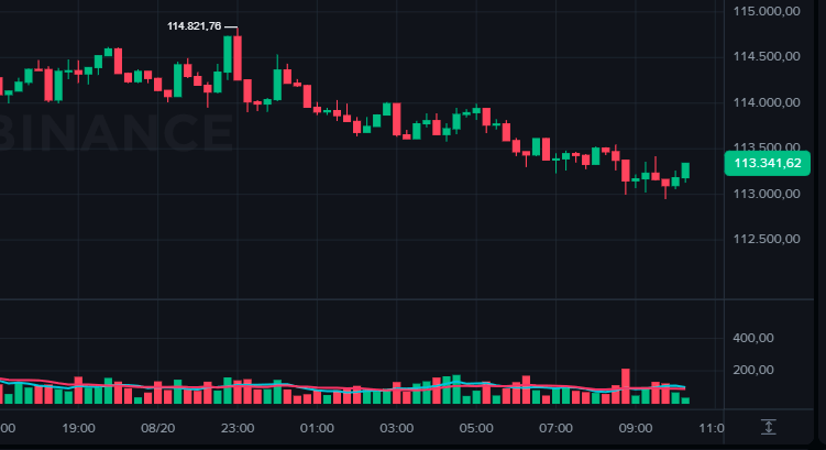 Bitcoin hoje a US$ 113.157 enquanto BNB registra novo recorde