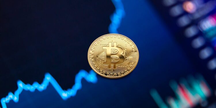 Crypto Trading Orders