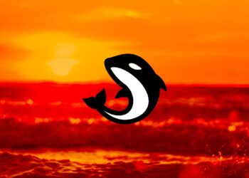 Orca