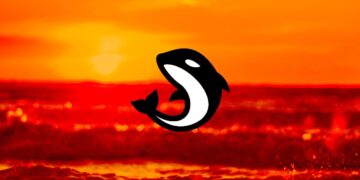 Orca