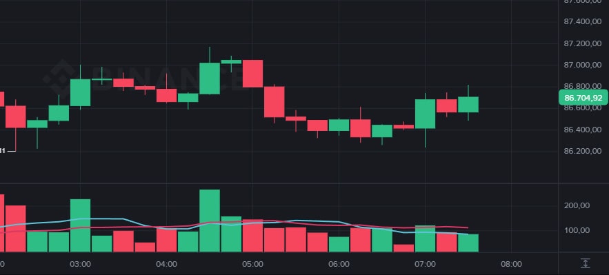 Bitcoin hoje 17/12/2025: BTC recua para perto de US$ 86.531 e pressiona altcoins; analista vê risco de teste em US$ 83 mil