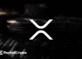 XRP Ripple