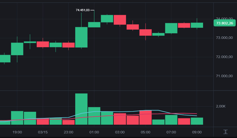 Bitcoin hoje sobe perto de US$ 74.500 e recua para US$ 73.793